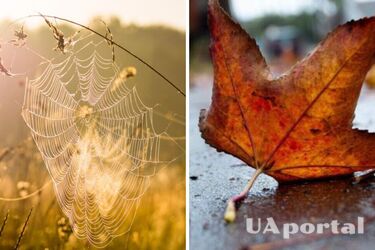 Погода на 5 сентября в Украине и Киеве - когда будет бабье лето