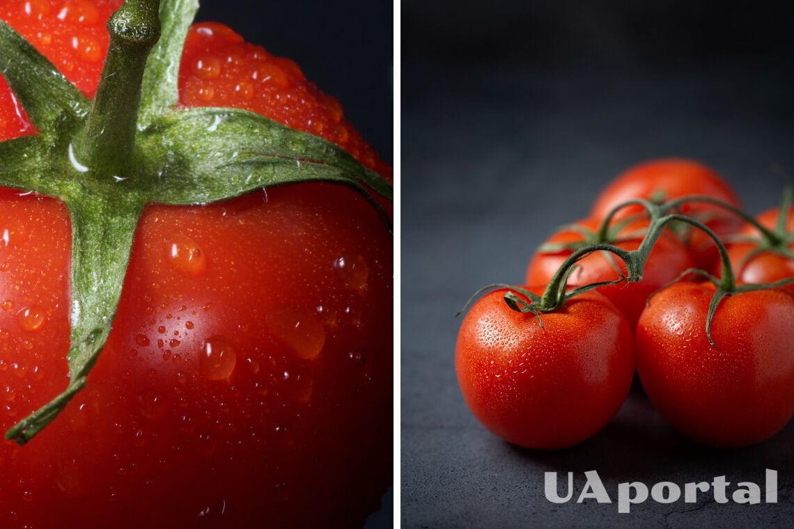 Как хранить помидоры и почему их нельзя держать в холодильнике