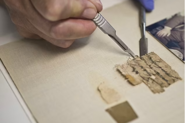 Свиток Мертвого моря нашли в штате Монтана США