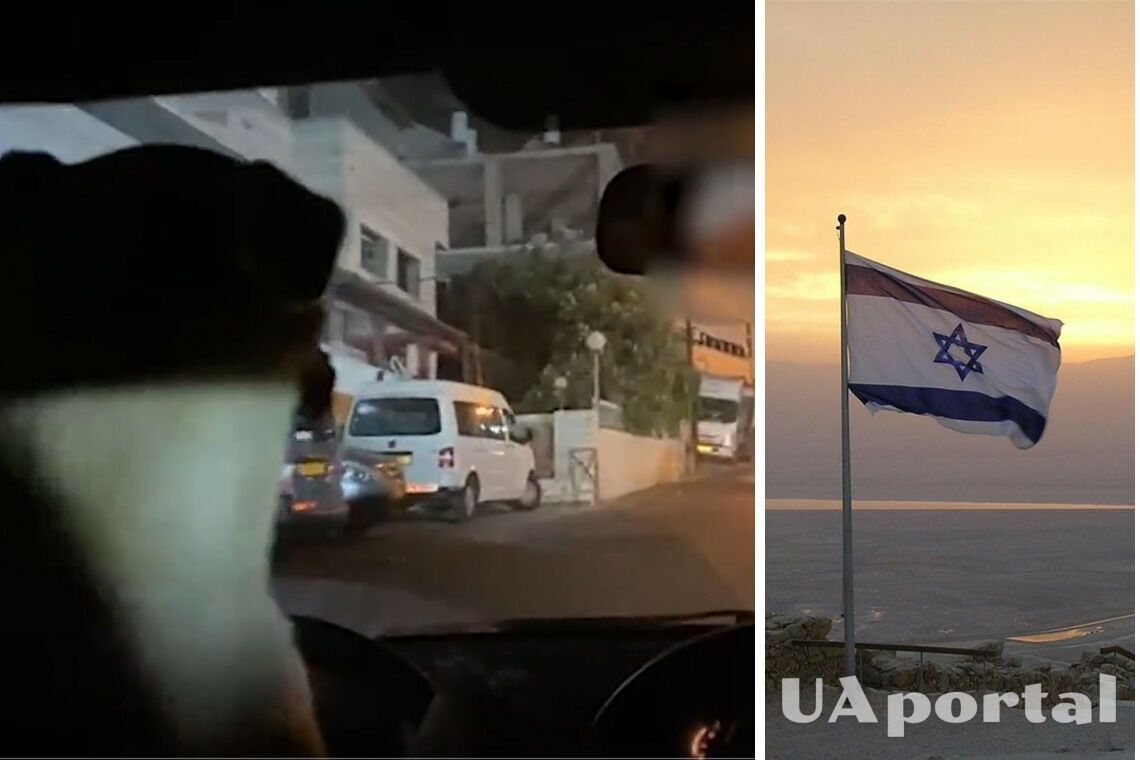 Посадил собаку за руль и снимал видео: в Израиле мужчину арестовали за опасное вождение