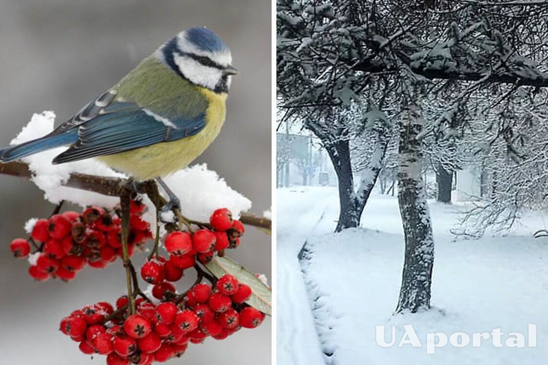 Народний синоптик Щедрін розповів про аномальну погоду в січні