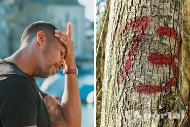 Астрологи рассказали, кому пятница 13-е принесет неудачу: прогноз для всех знаков зодиака