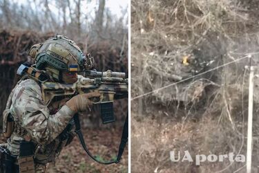 Тероборона показала відео знищення замаскованого російського танка у лісосмузі з першого пострілу