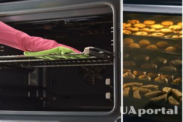 Як швидко та без зусиль очистити скляні дверцята духовки від жиру - як помити скло в духовці