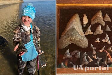 Девятилетняя девочка нашла зуб вымершей акулы
