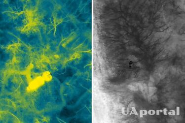 Морпіхи показали 'нічне сафарі' на окупантів на Донеччині (відео)