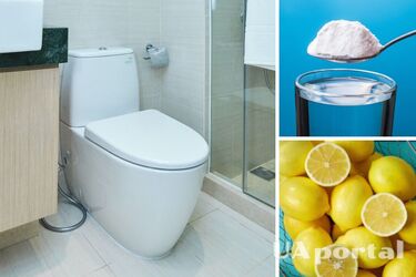 Як ідеально очистити туалет без хімії