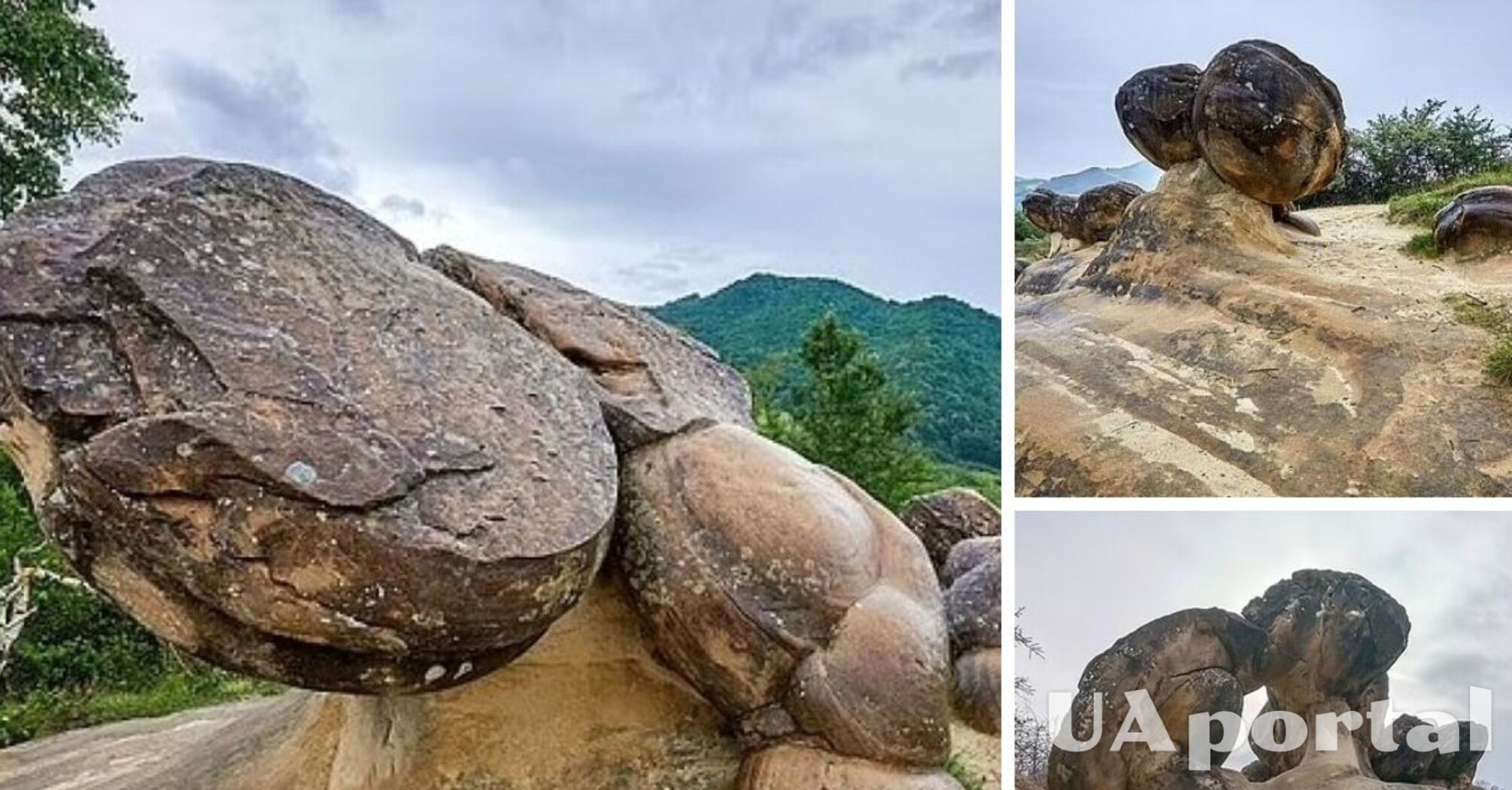 Живі сферичні камені у селі Костешти в Румунії, що ростуть