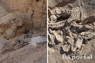 У некрополі в Єгипті археологи знайшли могилу дитини, яку поховали з майже 150 собаками (фото)