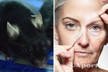 Ученые выяснили, что эпигенетические 'программные сбои' вызывают симптомы старения и их можно сбросить