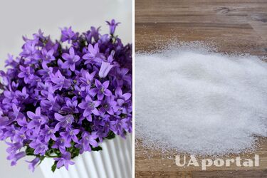 Какой ингредиент, который есть на кухне у каждого, поможет вашим растениям пышно цвести