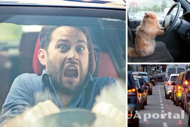 Як відрізнити профі водія від новачка