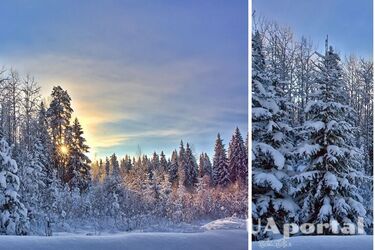 Какой будет погода в феврале: прогноз народного синоптика