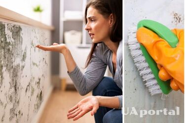 Почему нельзя чистить плесень щеткой