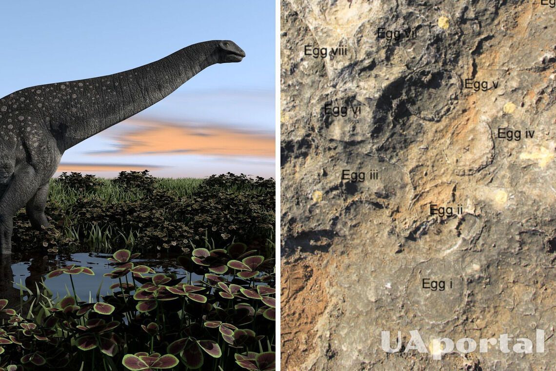 В Индии палеонтологи обнаружили 256 ископаемых яиц титанозавров