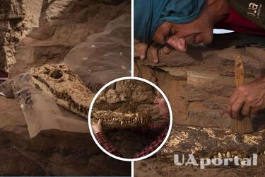 У Єгипті знайшли гробницю з муміфікованими крокодилами (фото)