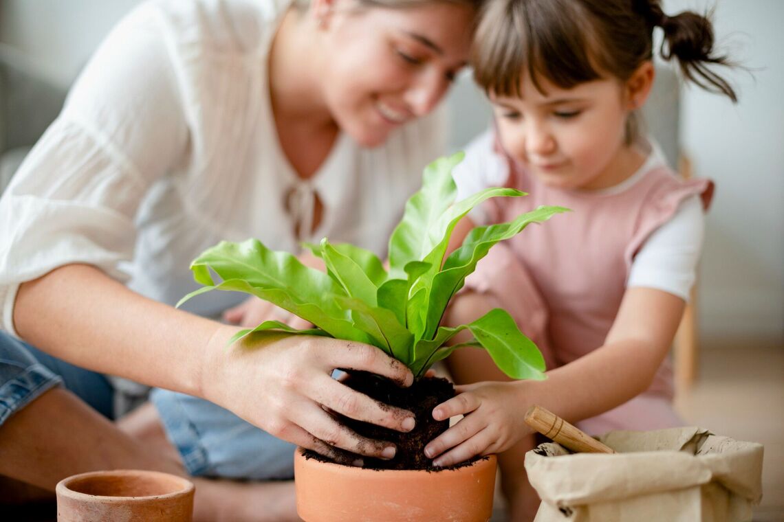 Топ-5 полезных комнатных растений для детской комнаты