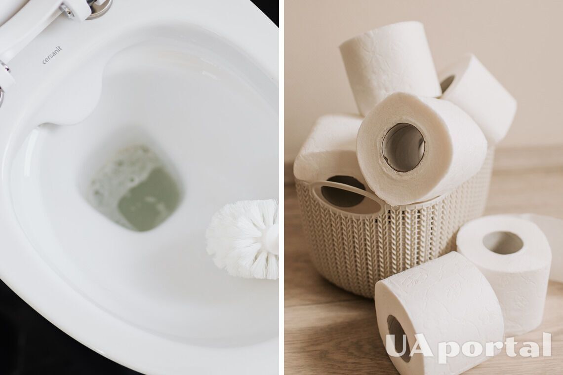 Які предмети на можна кидати до унітаза: названі основні причини, чому забивається каналізація в будинку