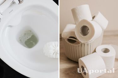 Які предмети на можна кидати до унітаза: названі основні причини, чому забивається каналізація в будинку