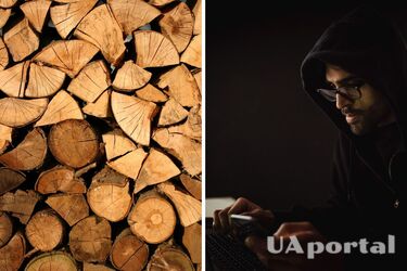 Купить дрова в Украине - мошенники придумали новую схему обмана украинцев с дровами - как не попасться