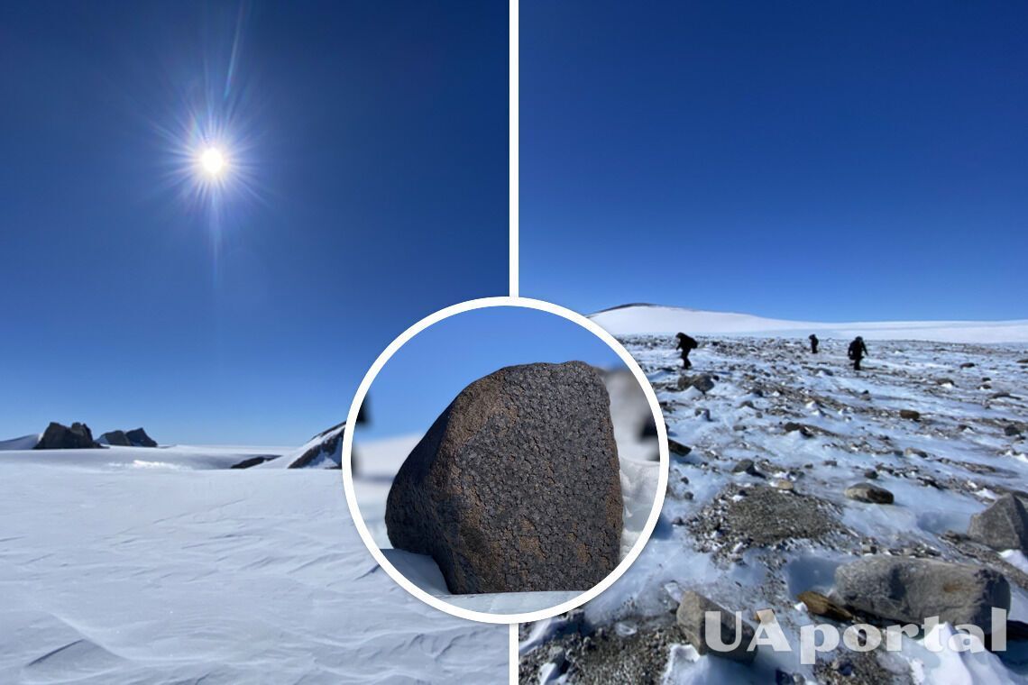 Один камінь майже 8 кг: п'ять нових метеоритів знайшли дослідники в Антарктиді (фото)