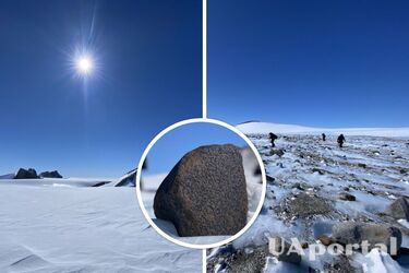 Один камень почти 8 кг: пять новых метеоритов нашли исследователи в Антарктиде (фото)