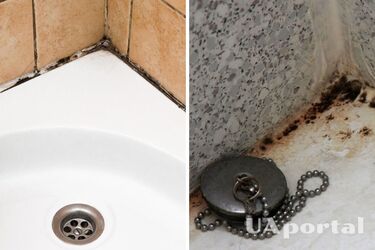 Як видалити плісняву та цвіль зі швів та герметика у ванній кімнаті