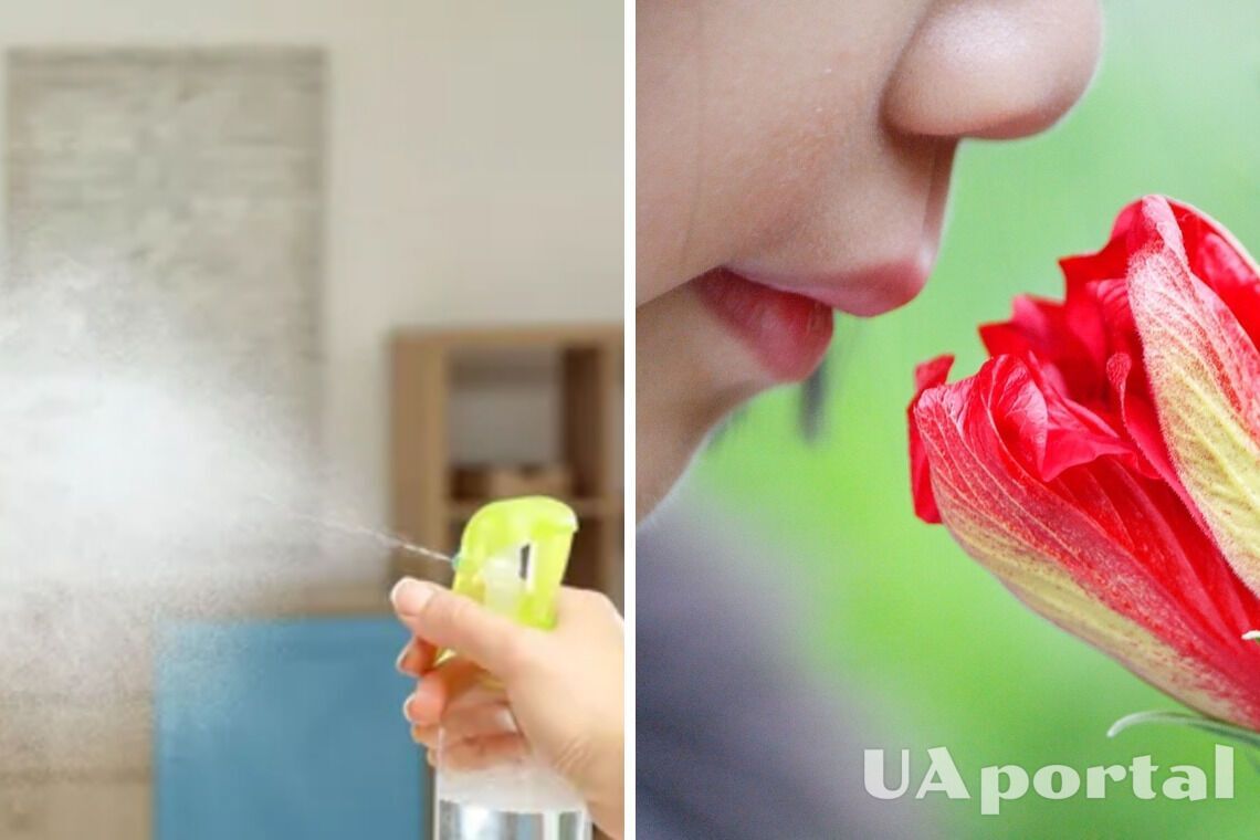 Как сделать, чтобы дома всегда был приятный запах