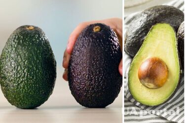 Как ускорить созревание авокадо