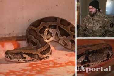 Спасения питона в Купянске