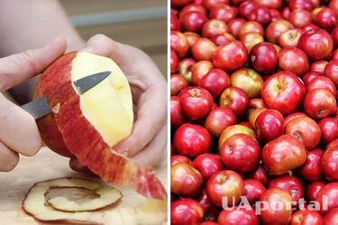 Як зробити яблучний оцет самостійно - що зробити зі шкірки яблука