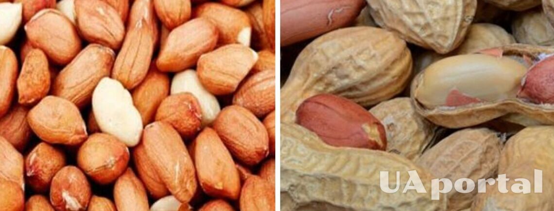 В Украине из продажи изъят опасный арахис, завезенный из Египта
