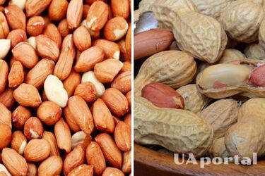 В Україні з продажу вилучать небезпечний арахіс, завезений з Єгипту