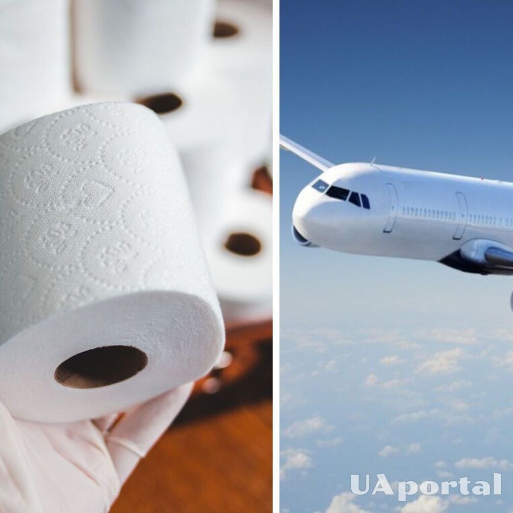 Стюардеса розкрила моторошні деталі, чому краще не користуватись туалетним папером в літаку