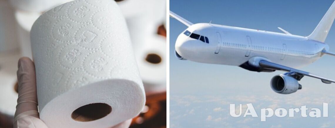 Стюардесса раскрыла жуткие детали, почему лучше не пользоваться туалетной бумагой в самолете