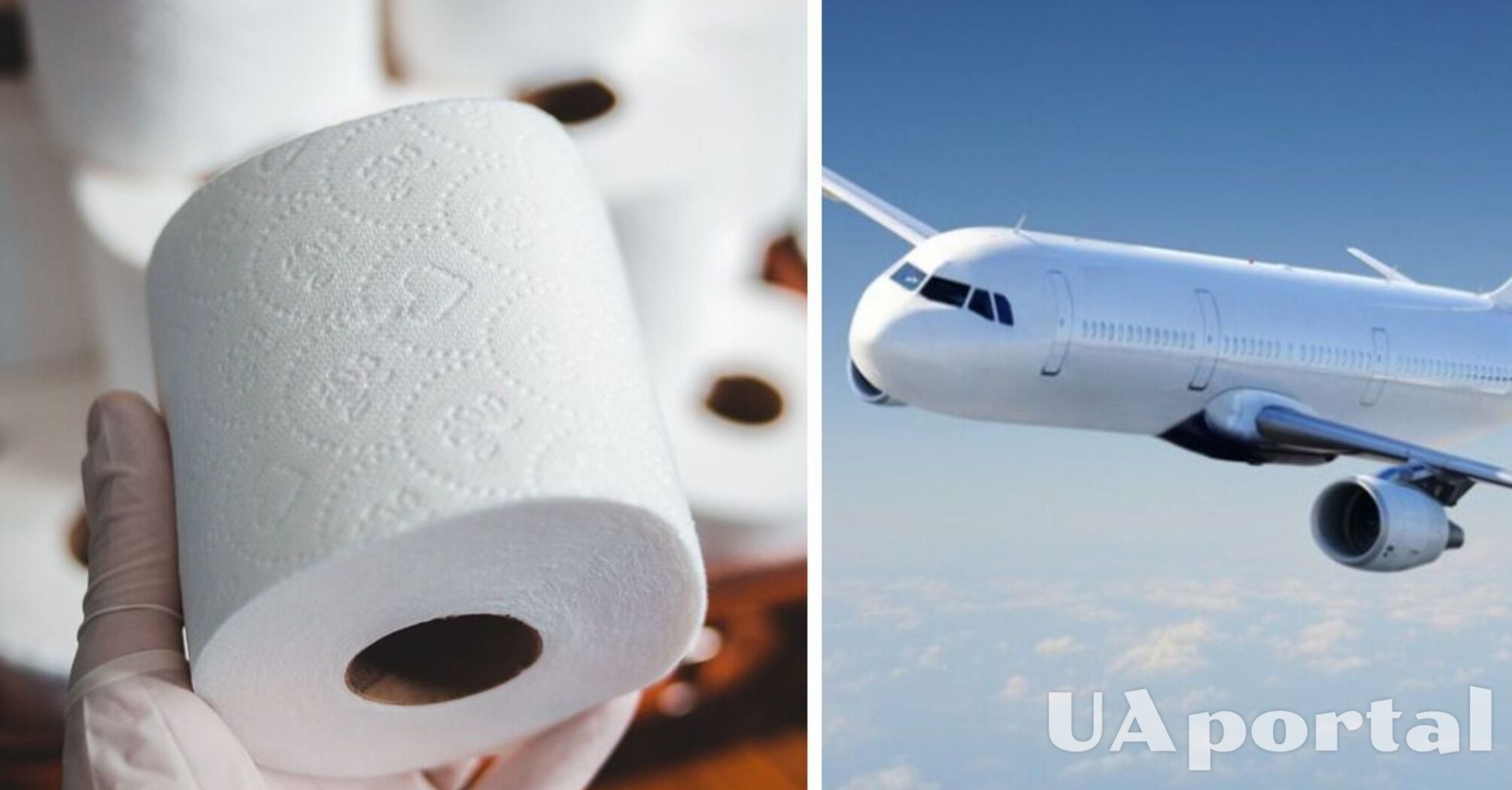 Стюардесса раскрыла жуткие детали, почему лучше не пользоваться туалетной бумагой в самолете