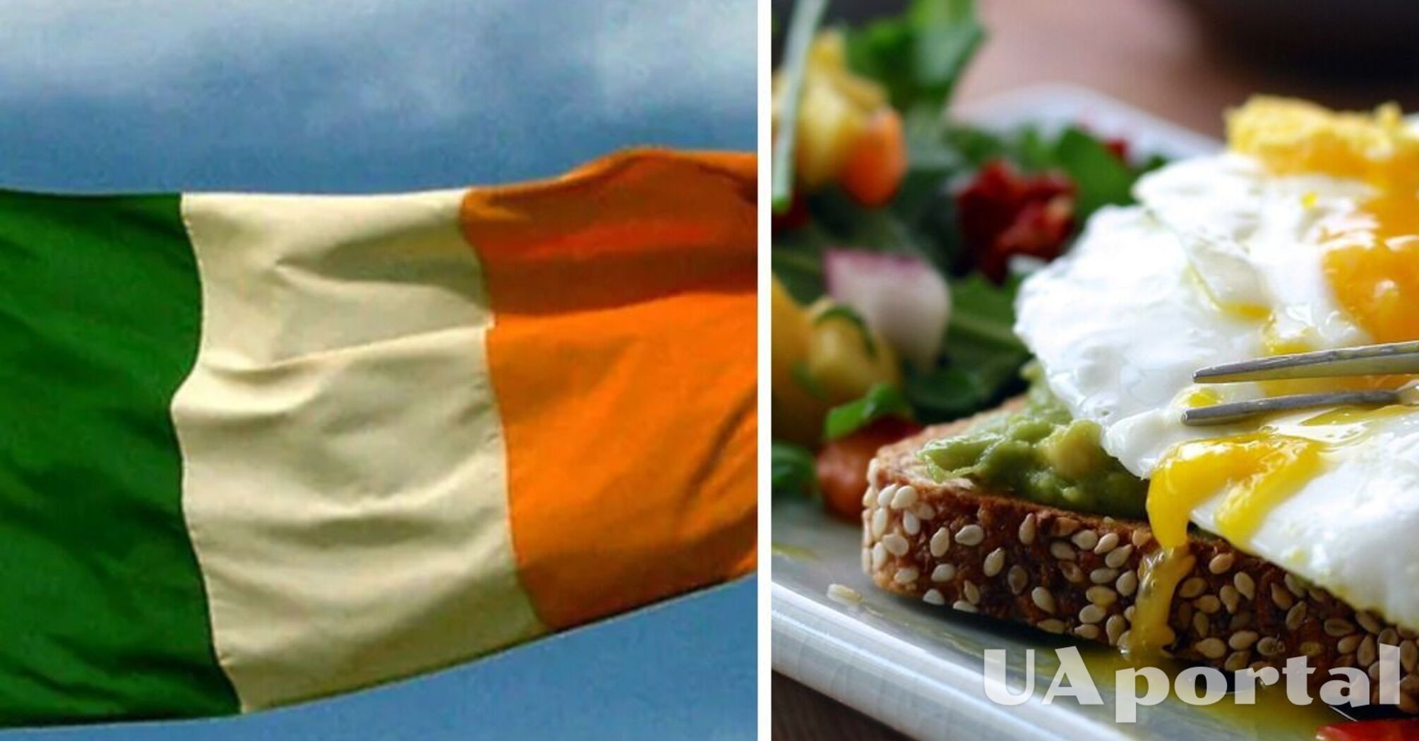 В Ірландії вступили в дію нові правила для українських біженців: що змінилося