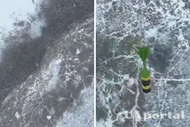 Біля Мар'їнки українські десантники відбили штурм ворога на кількох позиціях (відео з дрона)