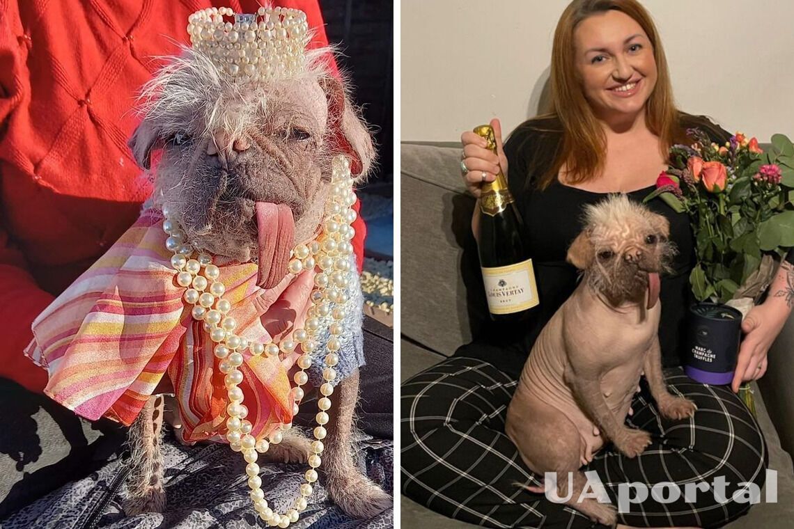 У Великій Британії обрали найпотворнішого собаку: як виглядає переможець