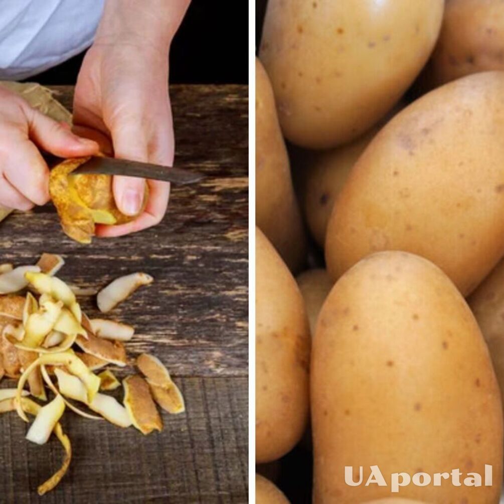 Удивительное блюдо: почему не нужно выбрасывать шелуху от картофеля