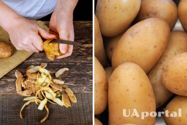 Удивительное блюдо: почему не нужно выбрасывать шелуху от картофеля
