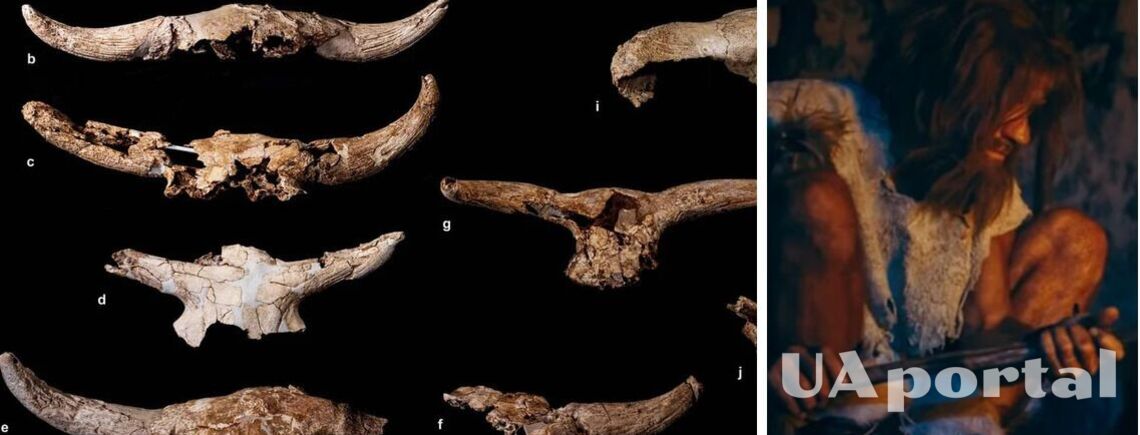 Археологи знайшли у печері в Іспанії тисячі кісток тварин, які принесли туди неандертальці 40 тисяч років тому (фото)