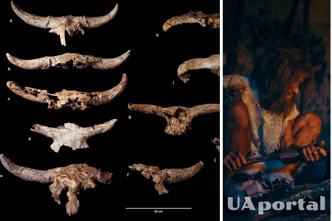 Археологи обнаружили в пещере в Испании останки животных, которые принесли неандертальцы