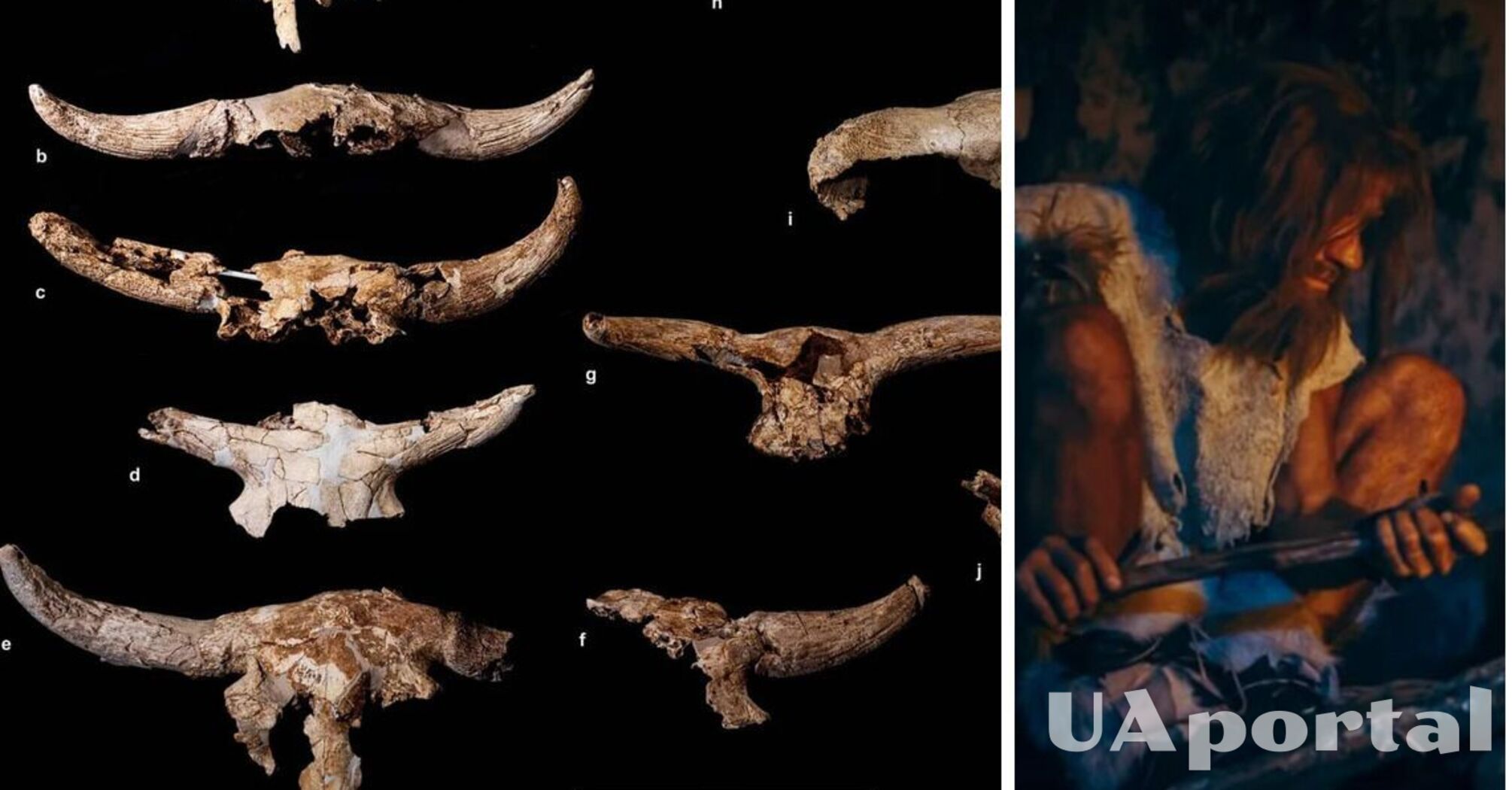 Археологи обнаружили в пещере в Испании тысячи костей животных, которые принесли туда неандертальцы 40 тысяч лет назад (фото)