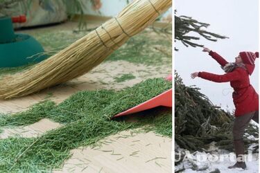 Як викинути ялинку не залишивши купу голок