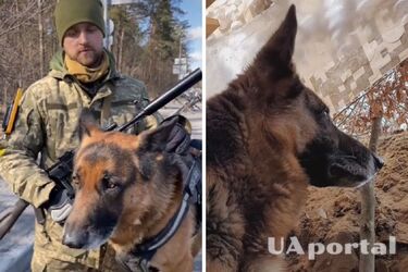 Овчарка Зевс и Евгений Перепелица