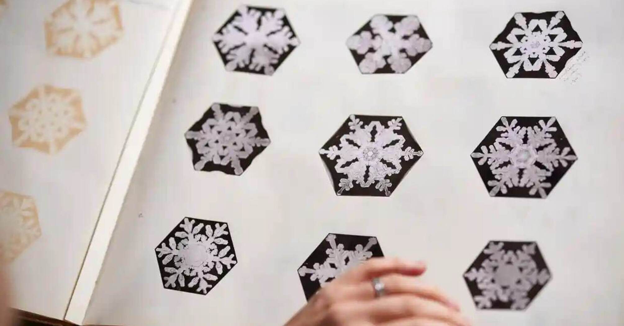 Альбом з зображенням сніжинок вченого Вілсона Бентлі оцифрували та виклали в мережу