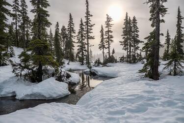 Похолодання не буде тривалим: синоптики здивували прогнозом на січень