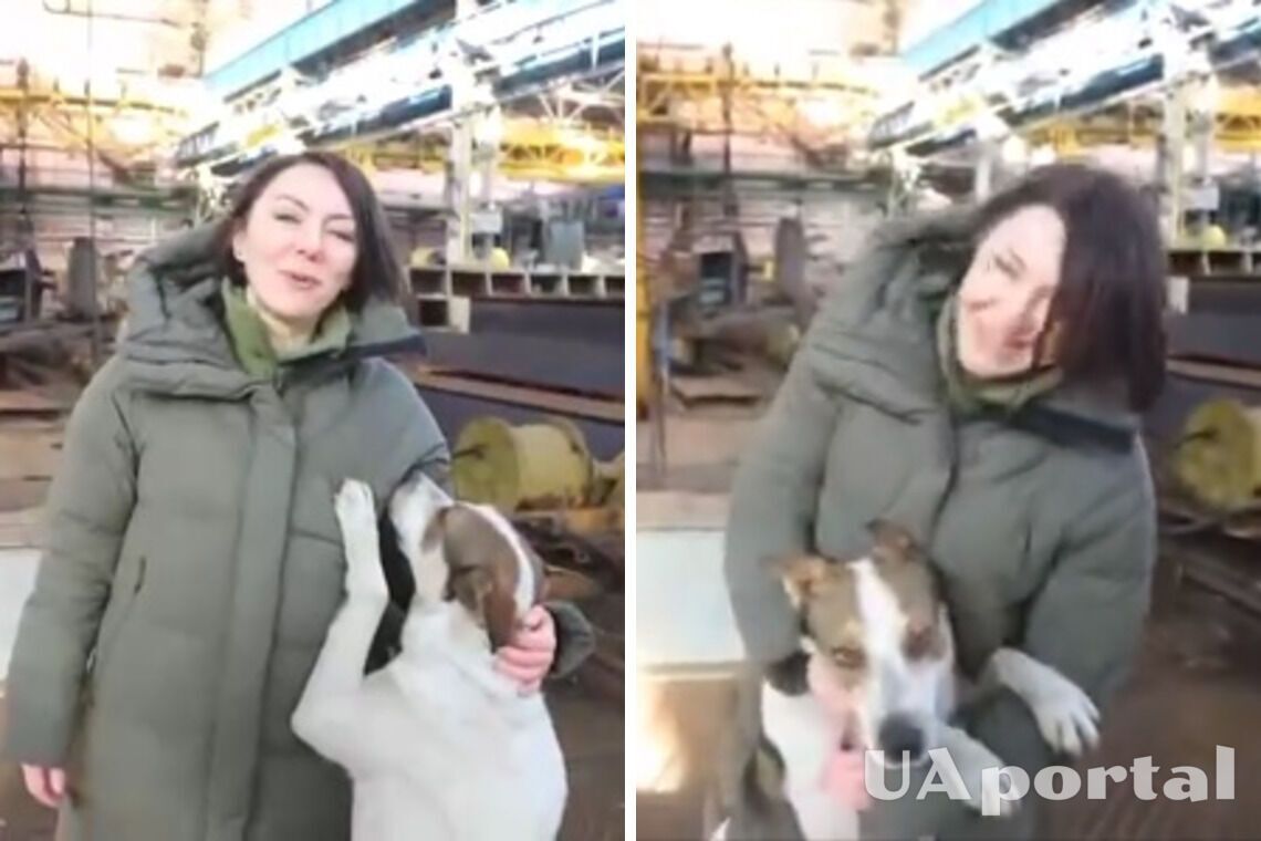 Собака ворвалась в кадр во время съемки видео с участием Анны Маляр (смешное видео)