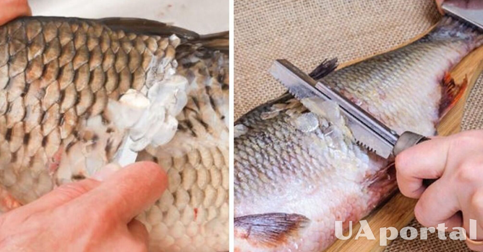 Як легко почистити рибу від луски